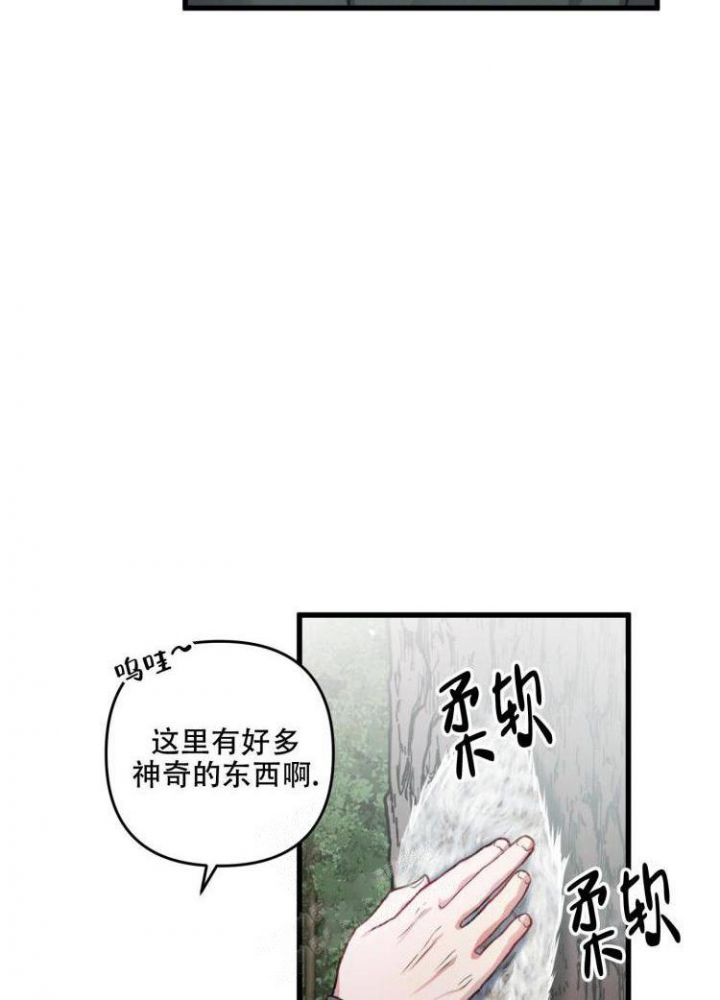 《不起眼向导的平凡日常》第43话 第19页
