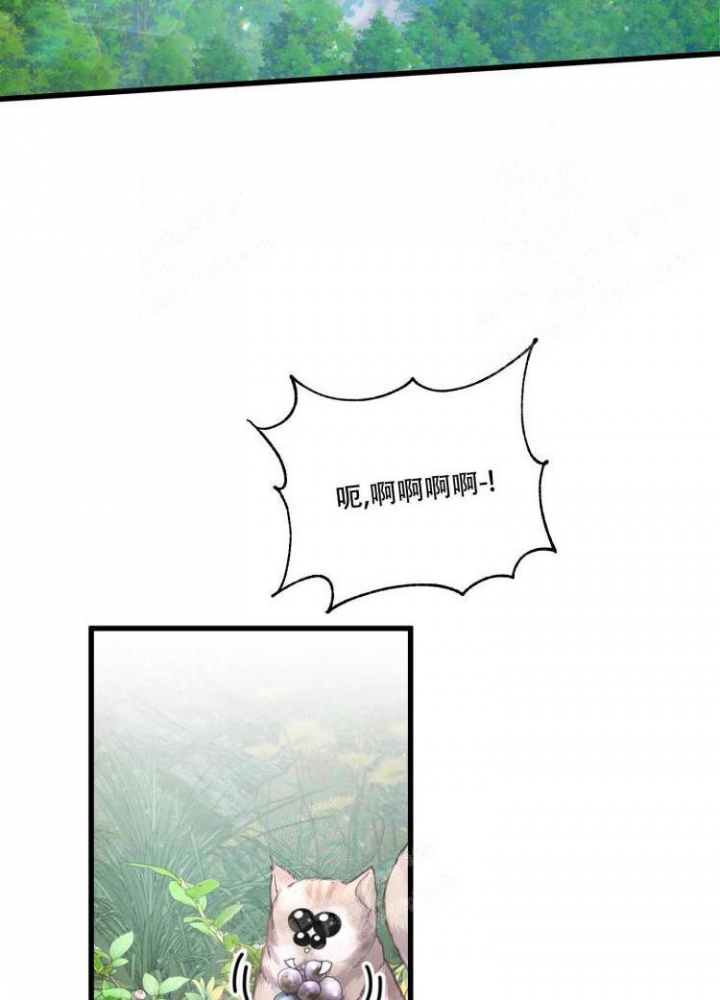 《不起眼向导的平凡日常》第43话 第2页