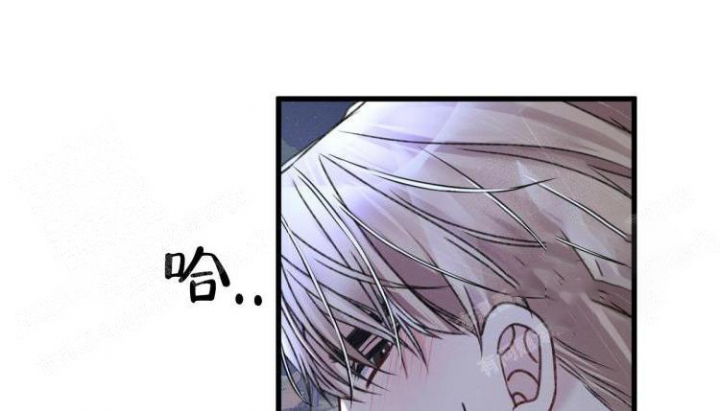 《不起眼向导的平凡日常》第47话 第8页