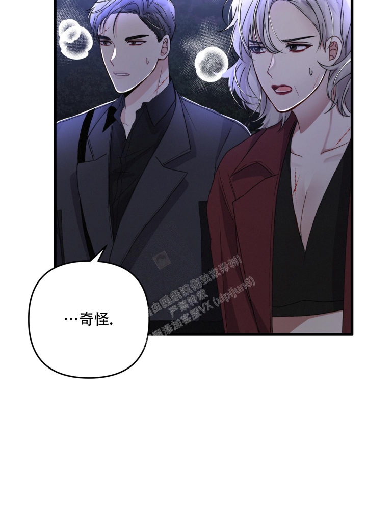 《不起眼向导的平凡日常》第68话 第43页