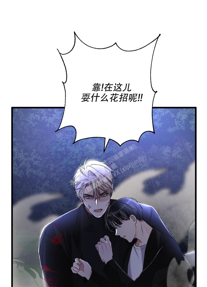 《不起眼向导的平凡日常》第70话 第41页