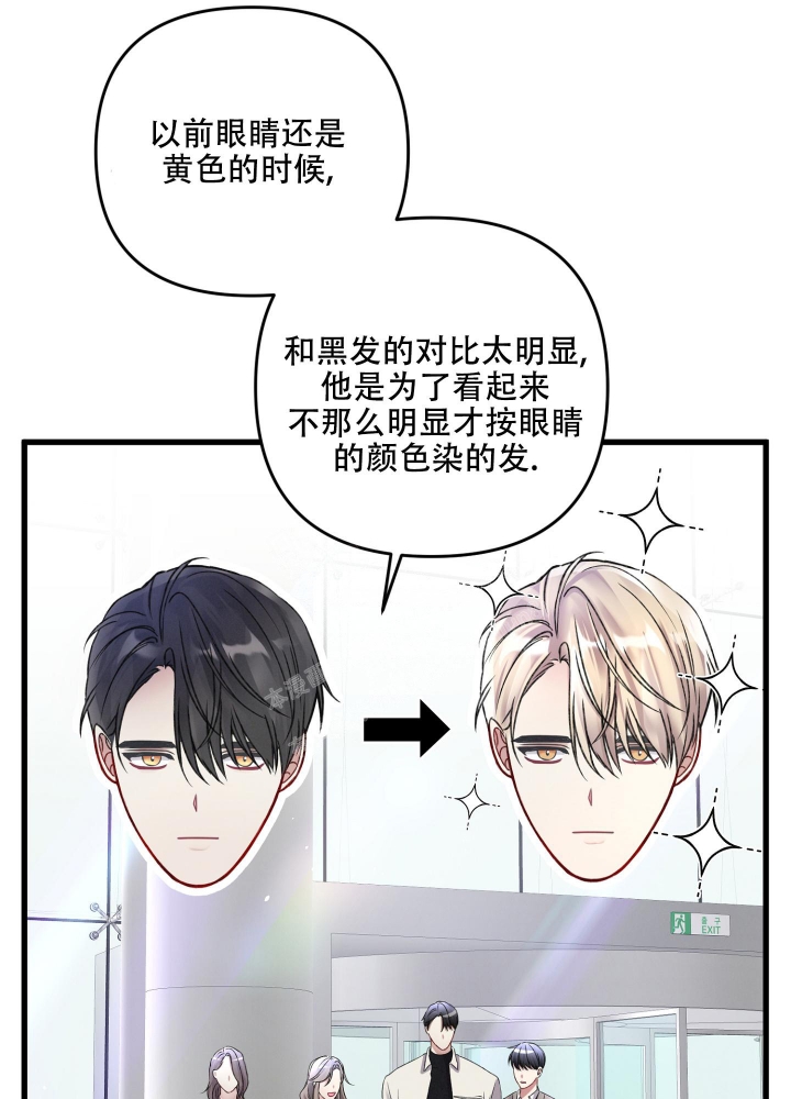 《不起眼向导的平凡日常》第78话 第48页
