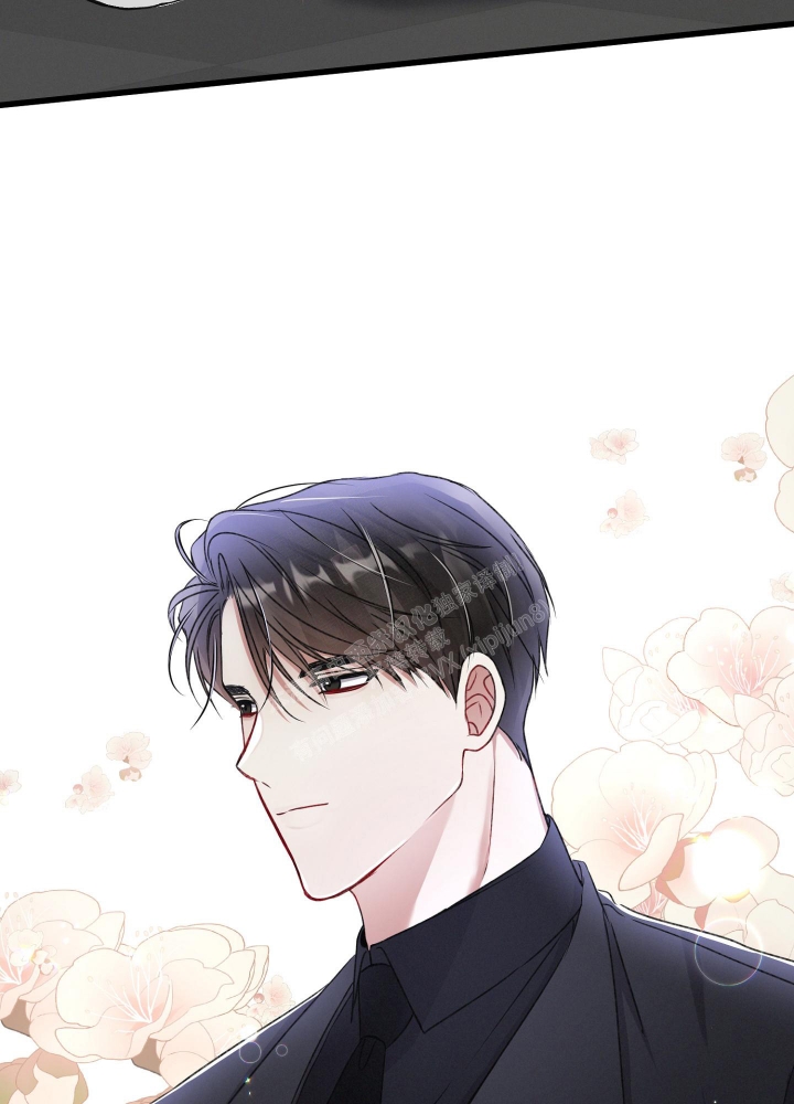 《不起眼向导的平凡日常》第81话 第31页