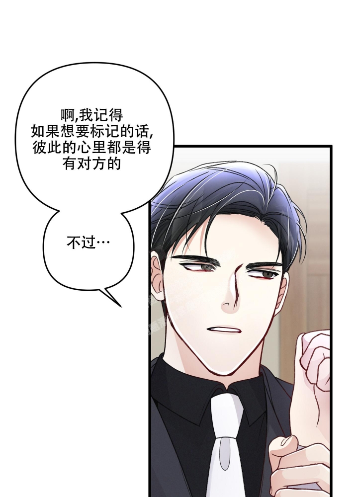 《不起眼向导的平凡日常》第85话 第29页