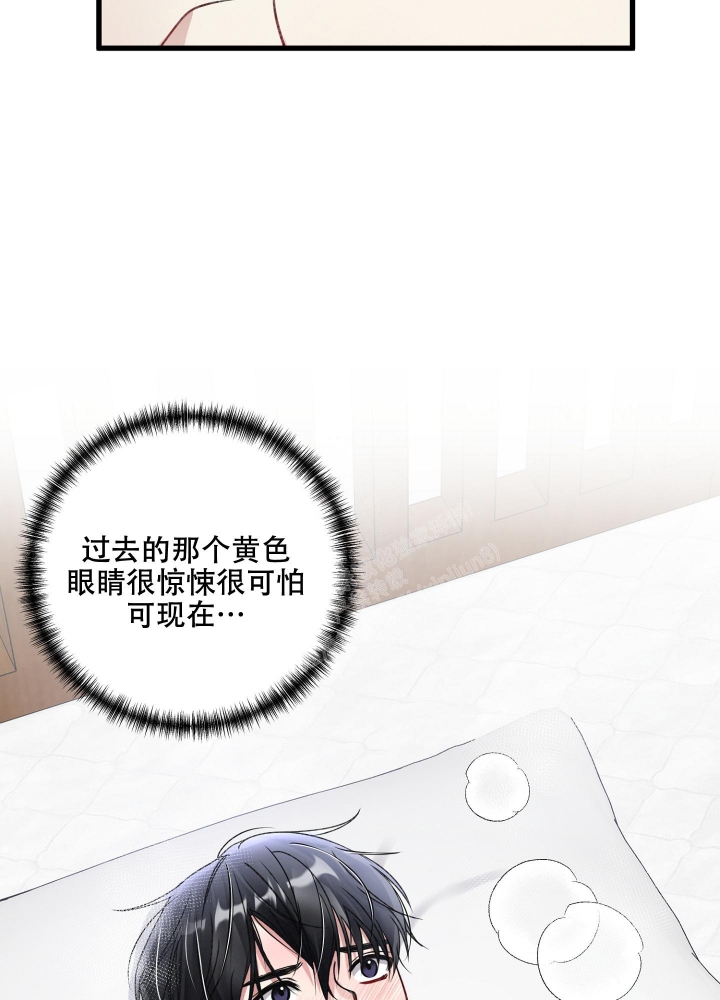 《不起眼向导的平凡日常》第88话 第33页