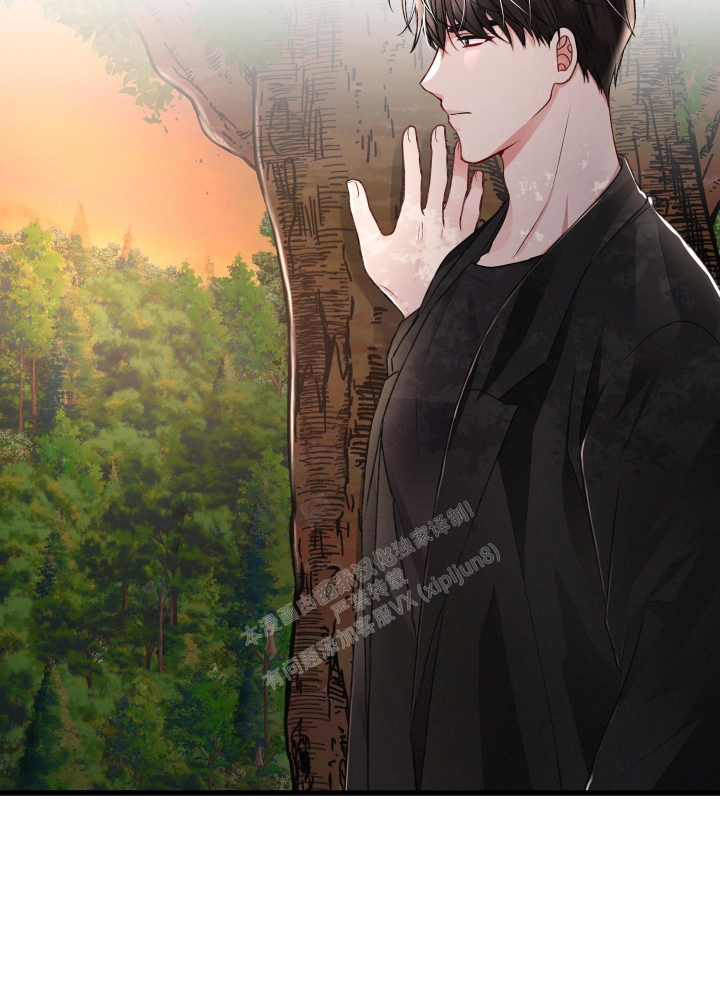 《不起眼向导的平凡日常》第97话 第29页