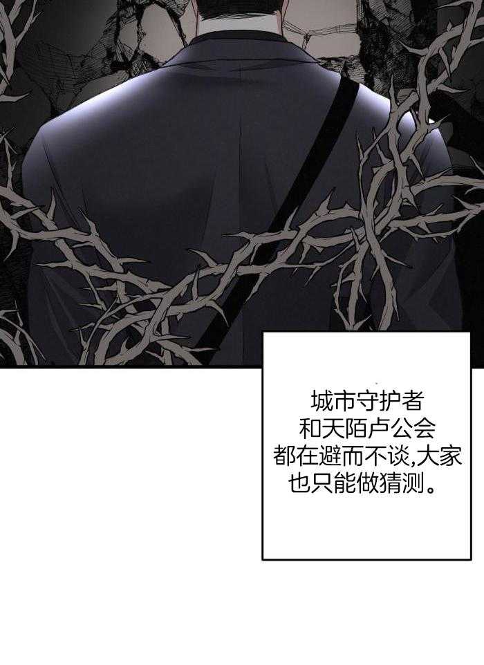 《不起眼向导的平凡日常》第129话 第19页