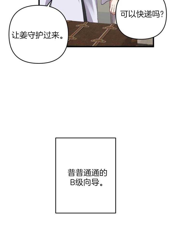 《不起眼向导的平凡日常》第130话 第37页
