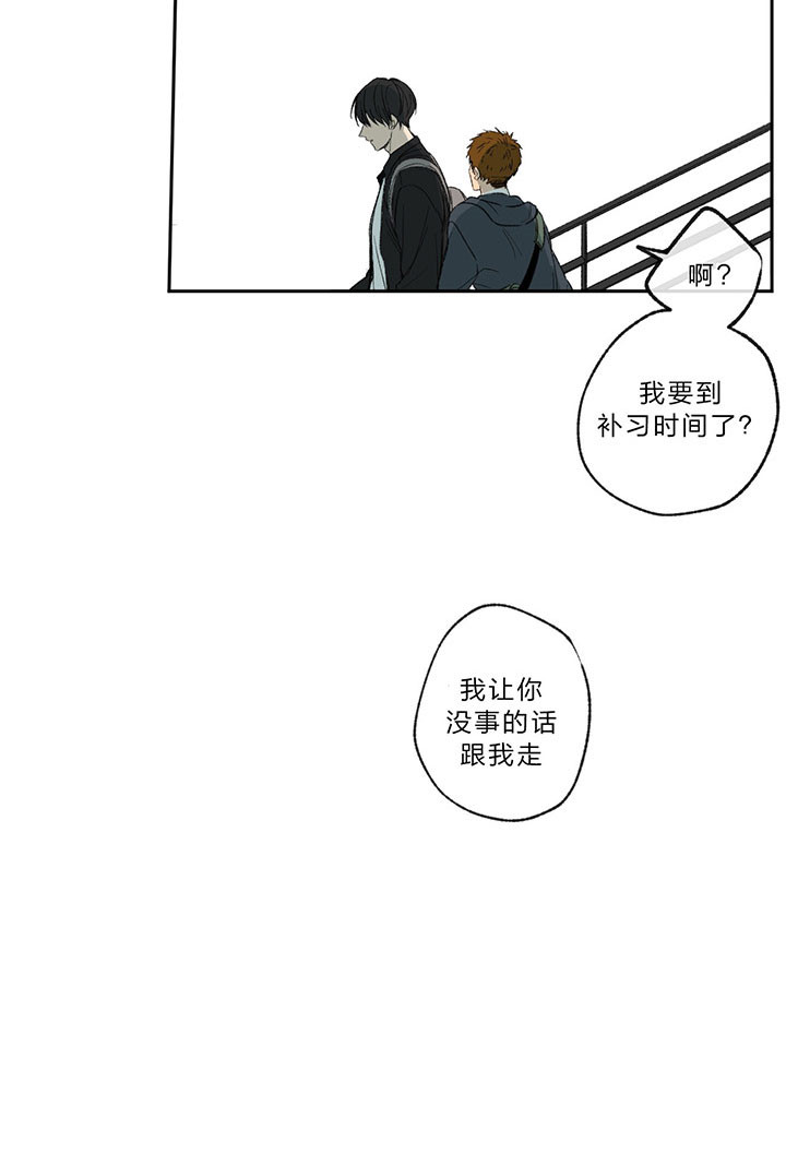《走失的夜(第I II季)》第16话 第33页