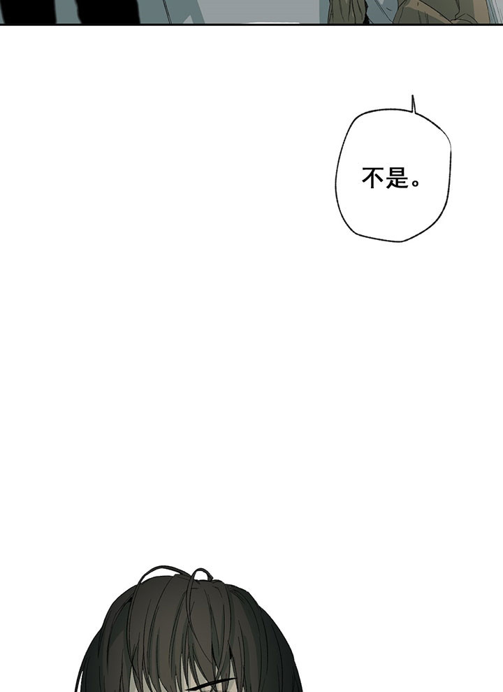 《走失的夜(第I II季)》第38话 第11页