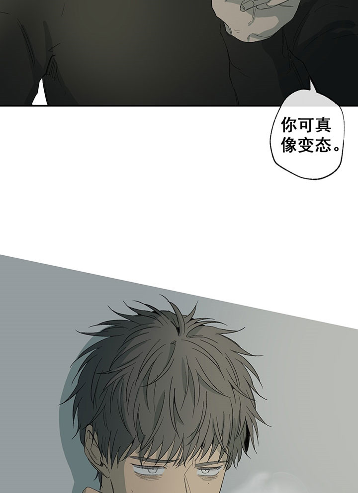 《走失的夜(第I II季)》第39话 第2页