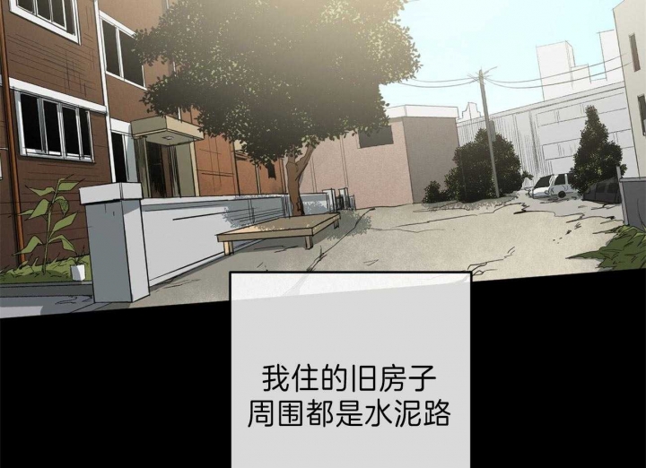 《走失的夜(第I II季)》第125话 第42页