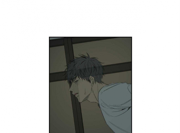 《走失的夜(第I II季)》第146话 第36页
