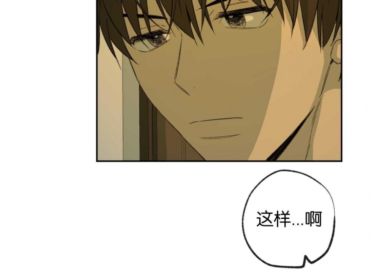 《走失的夜(第I II季)》第155话 第49页