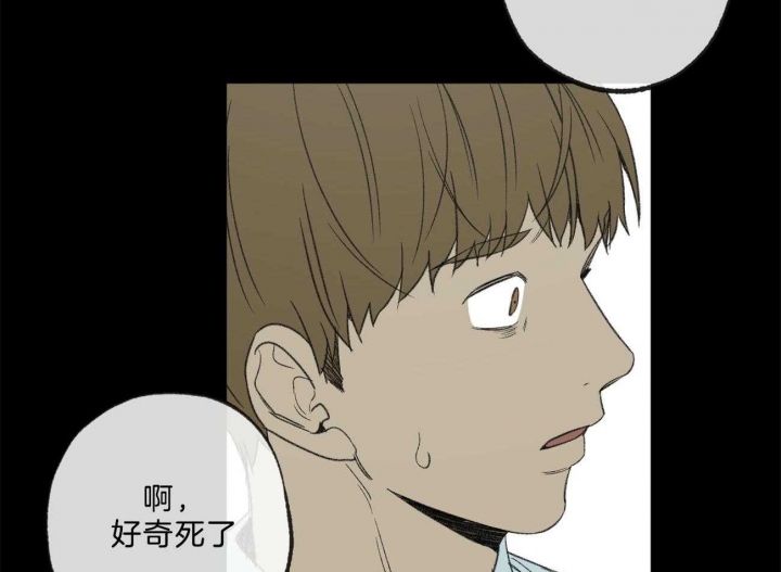 《走失的夜(第I II季)》第166话 第13页