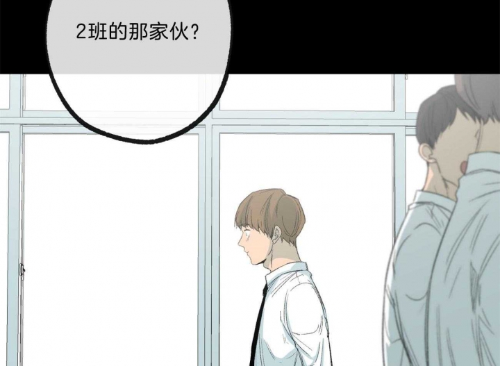《走失的夜(第I II季)》第166话 第8页