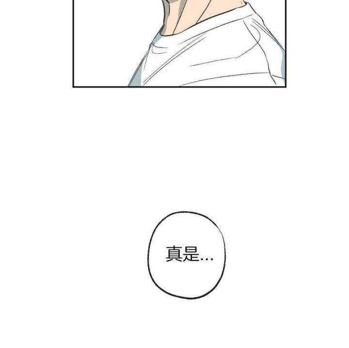 《走失的夜(第I II季)》第188话 第15页
