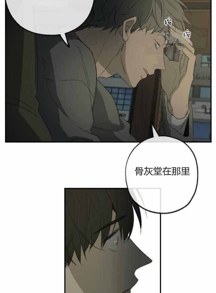 《走失的夜(第I II季)》第215话 第11页