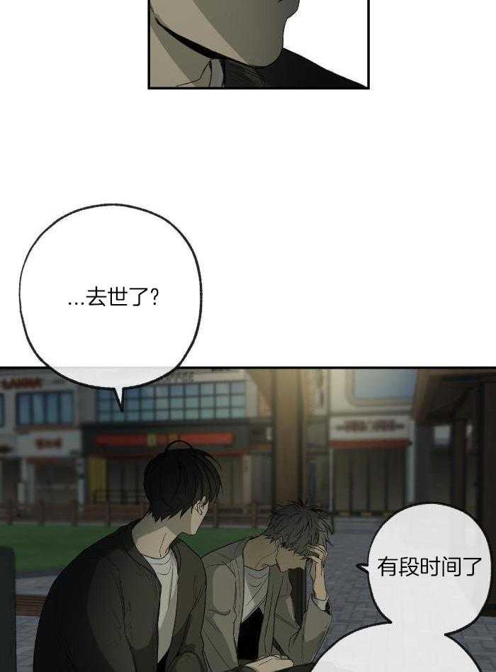 《走失的夜(第I II季)》第215话 第12页