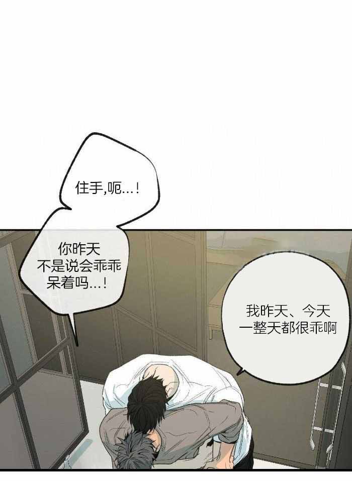 《走失的夜(第I II季)》第219话 第1页