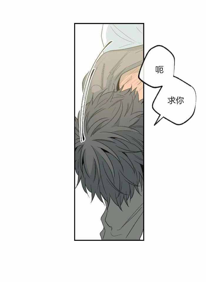 《走失的夜(第I II季)》第219话 第3页