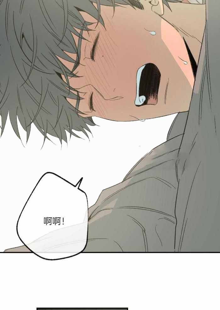 《走失的夜(第I II季)》第219话 第5页