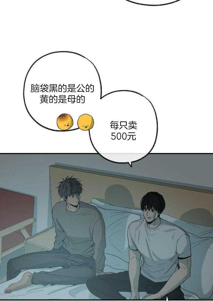 《走失的夜(第I II季)》第221话 第19页