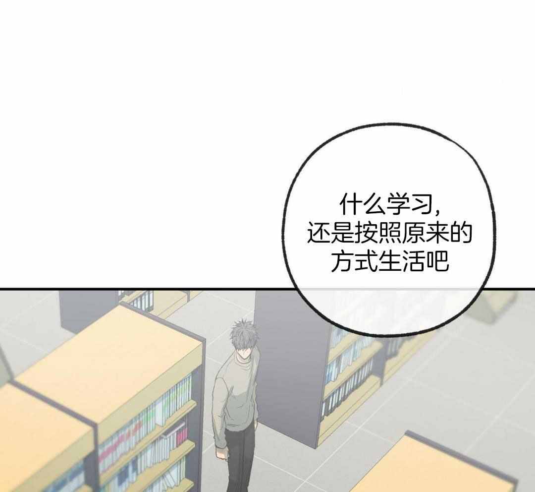 《走失的夜(第I II季)》第230话 第13页