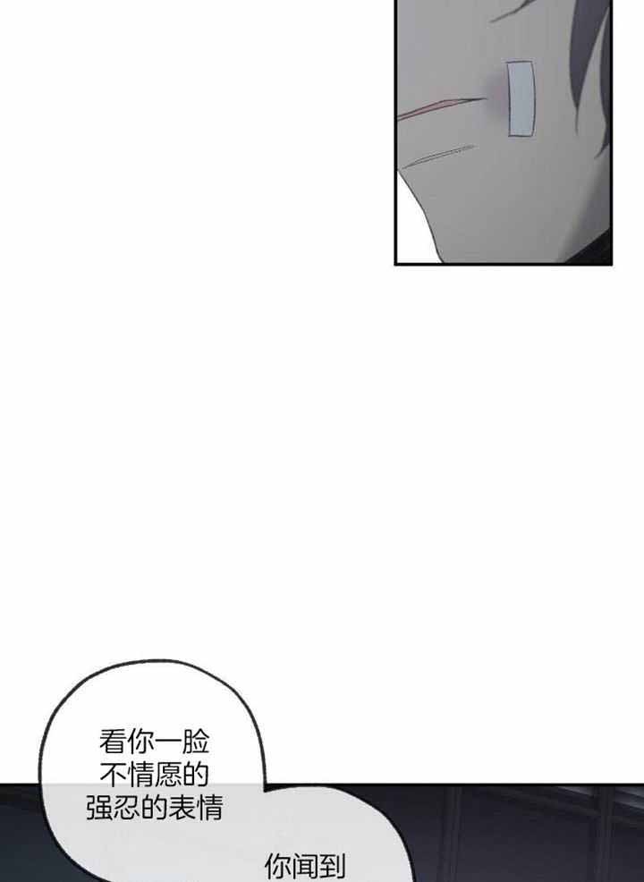 《走失的夜(第I II季)》第229话 第10页