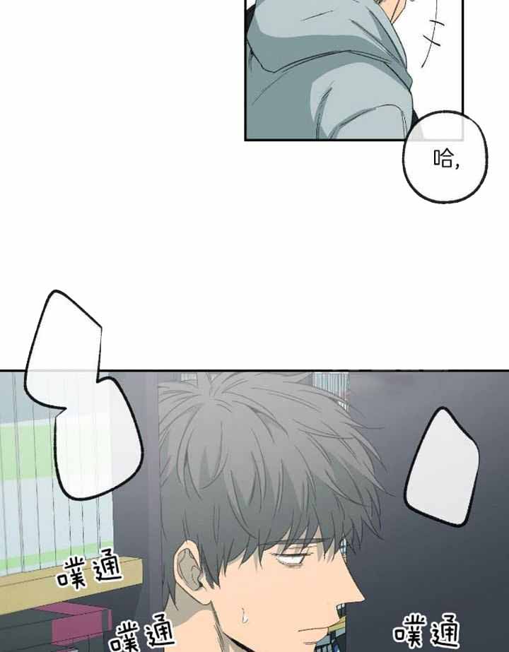 《走失的夜(第I II季)》第229话 第29页