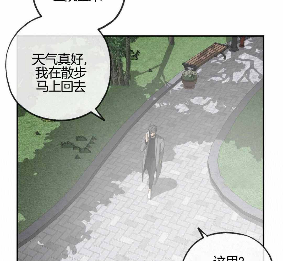 《走失的夜(第I II季)》第235话 第11页