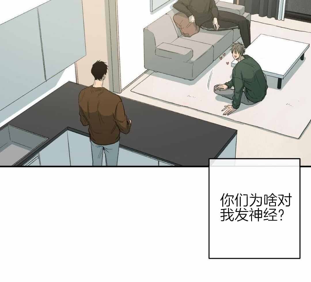 《走失的夜(第I II季)》第235话 第36页