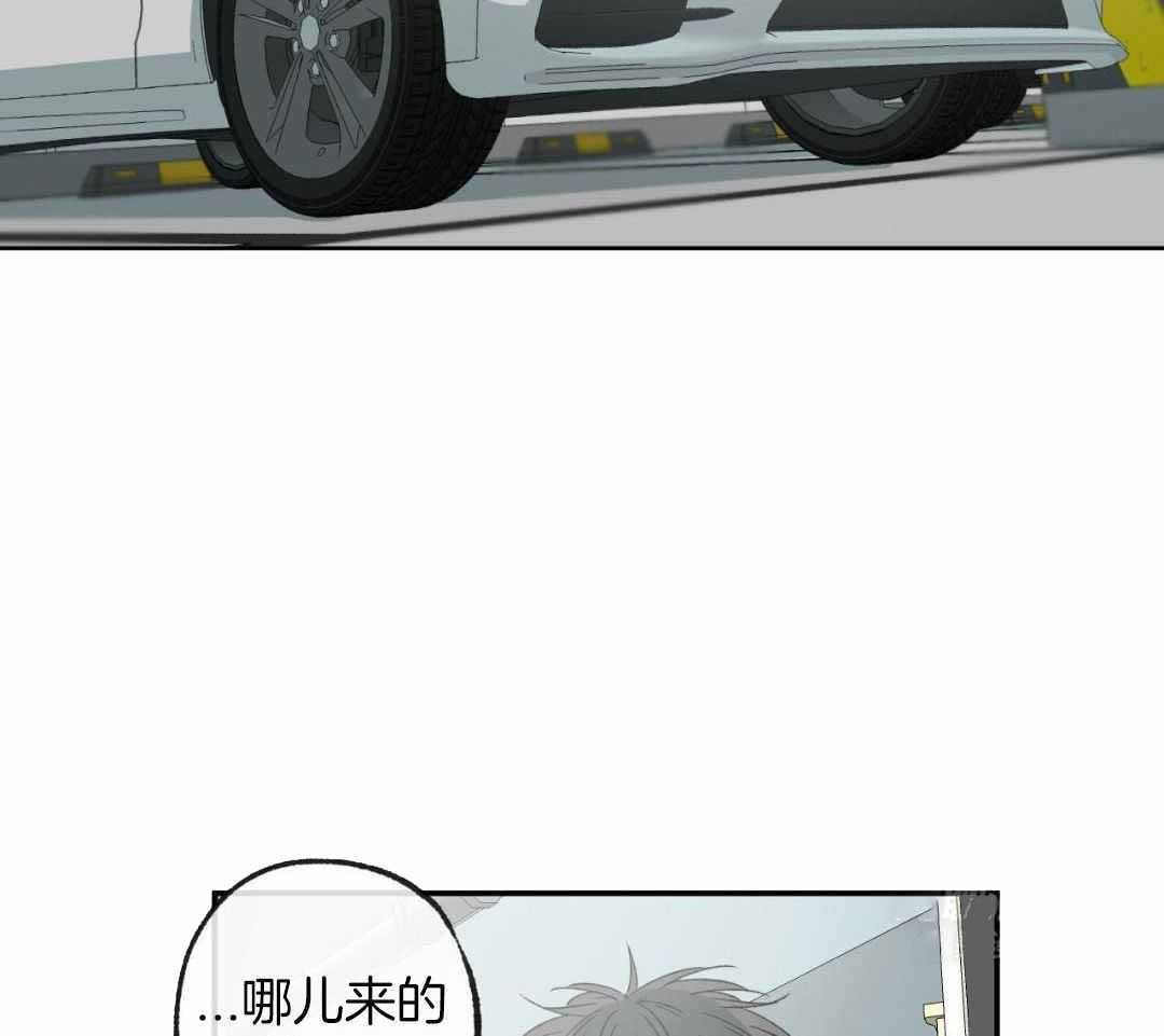 《走失的夜(第I II季)》第231话 第43页