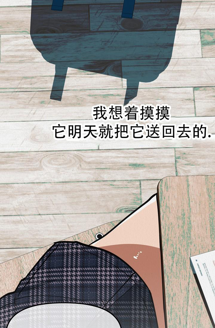 《男孩遇见女孩》第19话 第34页