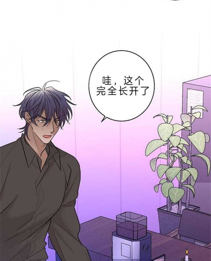 《炒过的豆子会发芽吗(第二季)》第13话 第4页