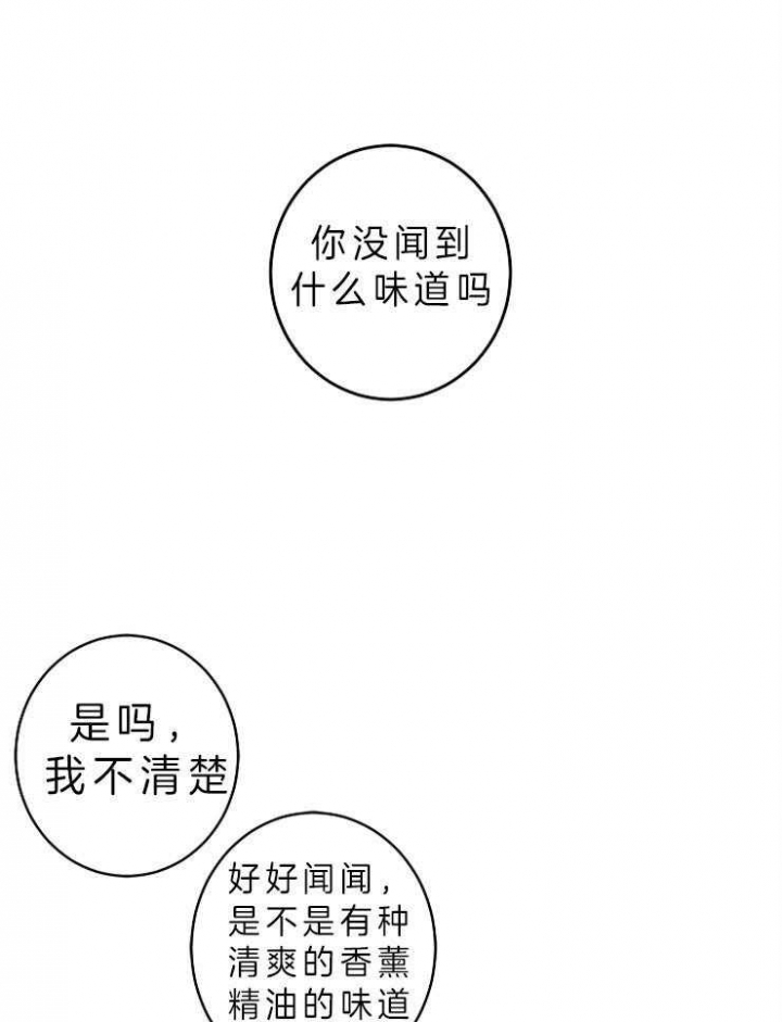 《炒过的豆子会发芽吗(第二季)》第23话 第20页