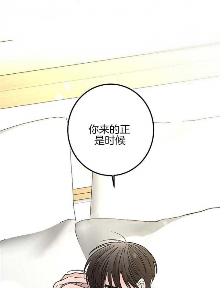 《炒过的豆子会发芽吗(第二季)》第28话 第13页