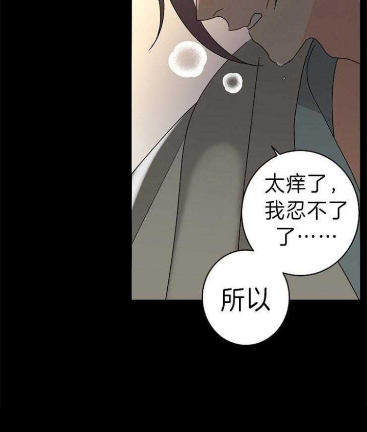 《炒过的豆子会发芽吗(第二季)》第41话 第3页