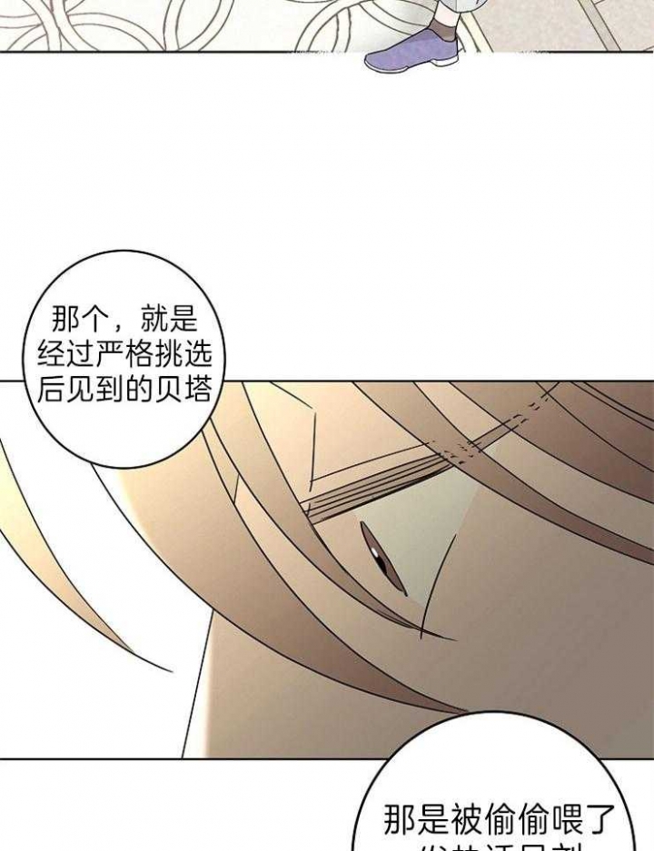 《炒过的豆子会发芽吗(第二季)》第48话 第26页