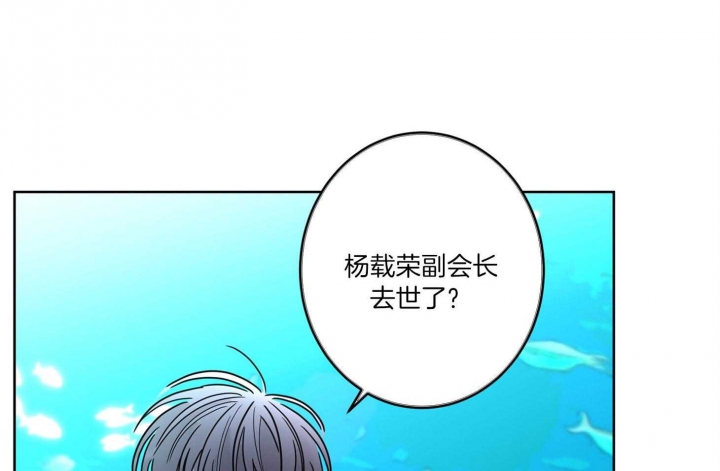 《炒过的豆子会发芽吗(第二季)》第61话 第13页