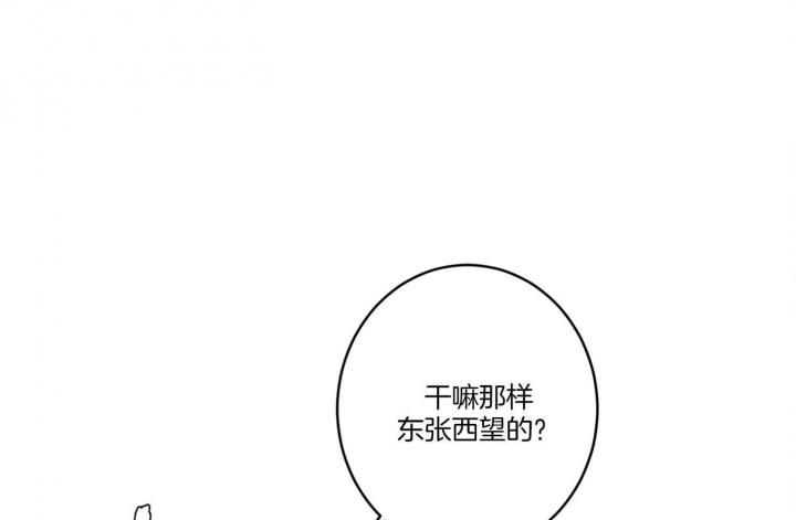 《炒过的豆子会发芽吗(第二季)》第64话 第19页
