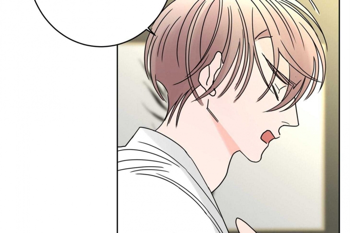 《炒过的豆子会发芽吗(第二季)》第68话 第47页