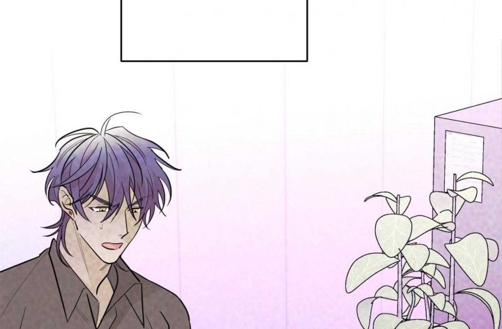 《炒过的豆子会发芽吗(第二季)》第76话 第13页