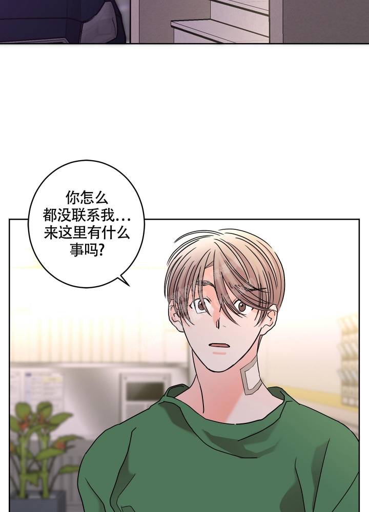 《炒过的豆子会发芽吗(第二季)》第82话 第3页