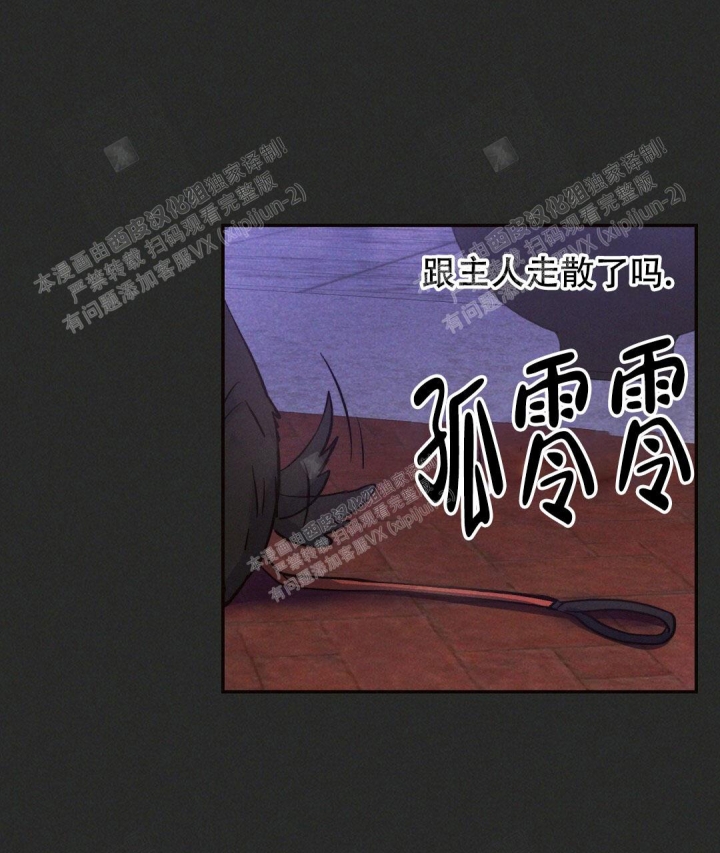 《疾风骤雨(第I II季)》第29话 第42页