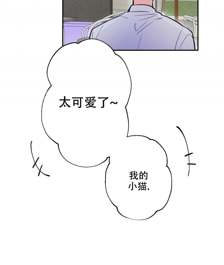 《疾风骤雨(第I II季)》第41话 第40页
