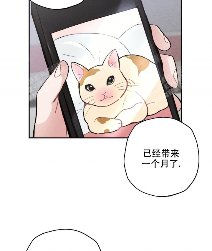 《疾风骤雨(第I II季)》第41话 第43页