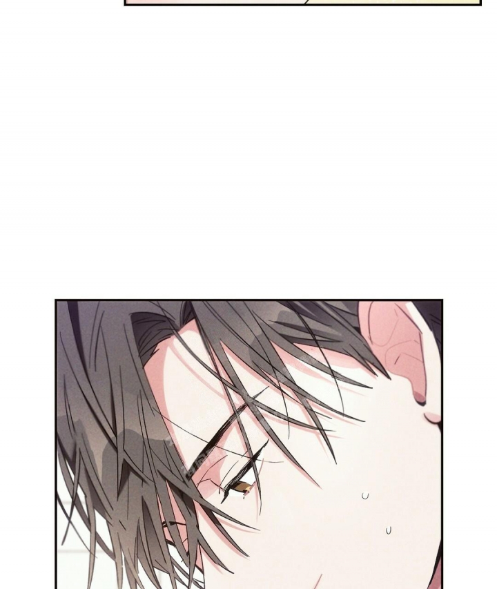 《疾风骤雨(第I II季)》第68话 第38页