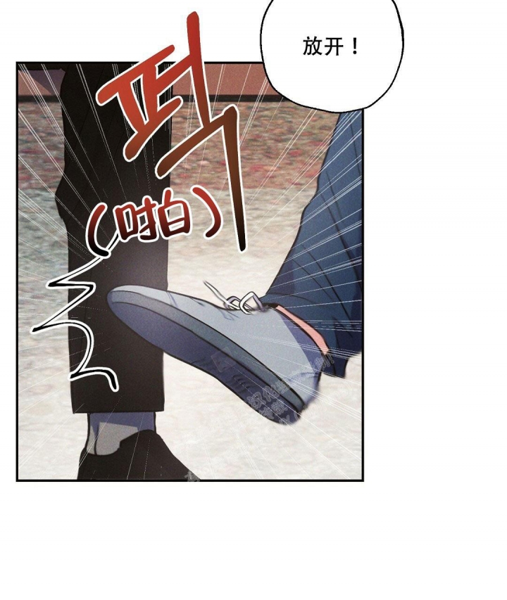 《疾风骤雨(第I II季)》第79话 第41页