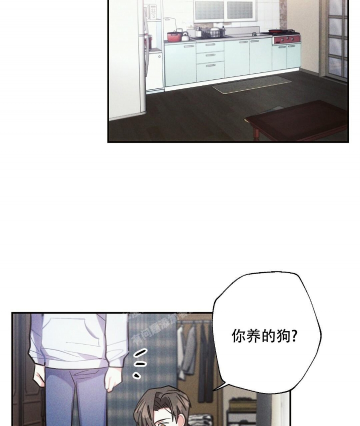 《疾风骤雨(第I II季)》第81话 第33页